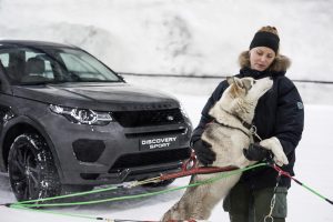 Discovery Sport dogpower vs horsepower husky